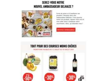 eCRM - Insert Delhaize Newsletter