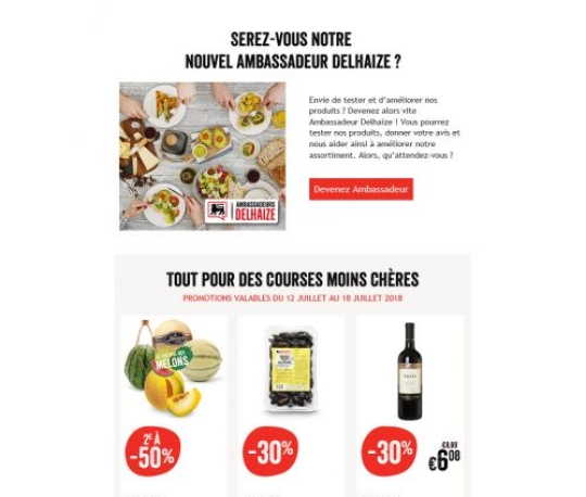 eCRM - Insert Delhaize Newsletter