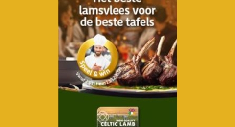 Celtic Lamb EOY 