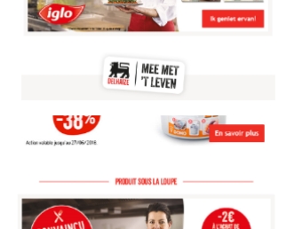 eCRM - Insert Delhaize Newsletter